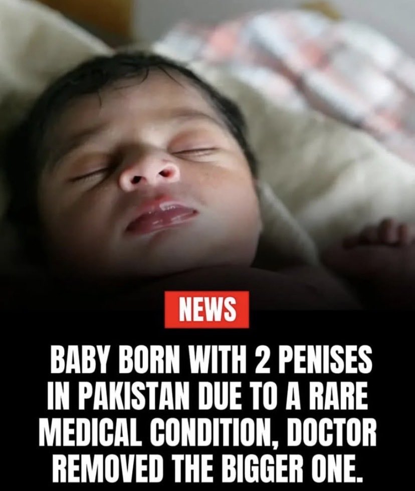 W A L E E tweet media