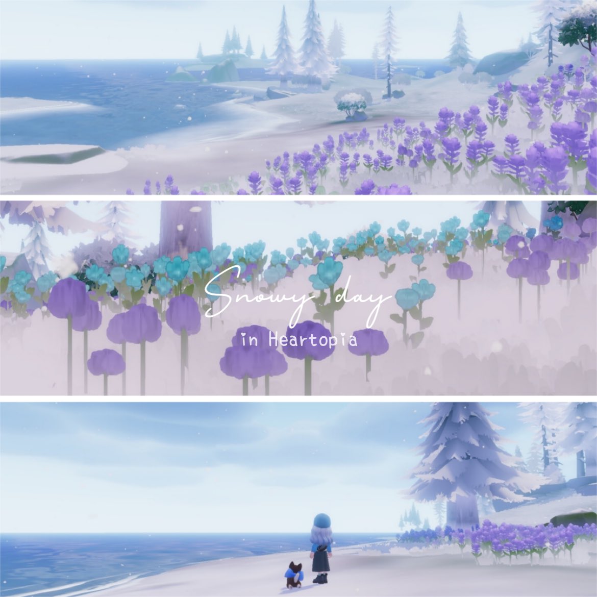 𝚂𝚞𝚒 tweet media