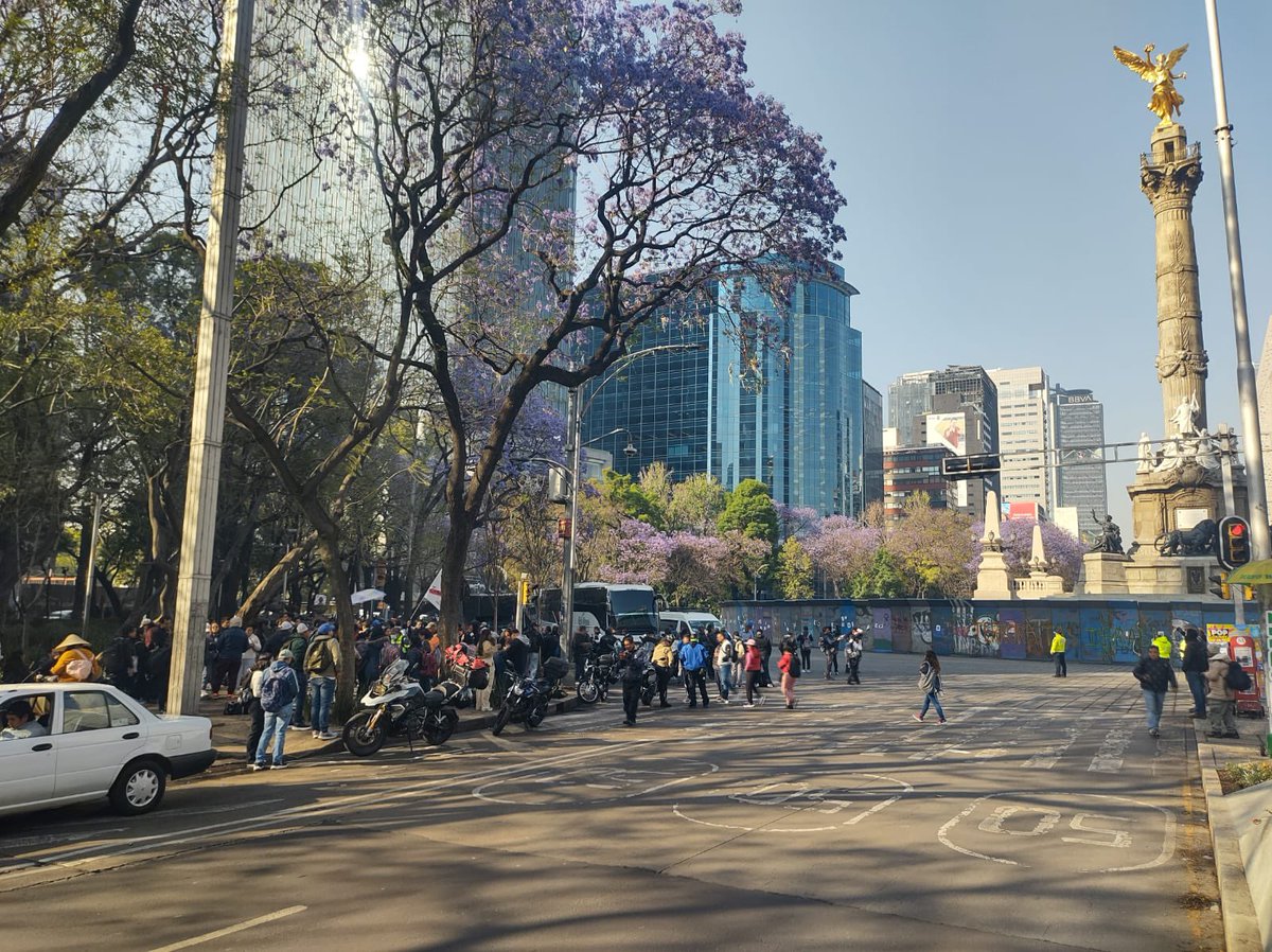 Red Vial tweet media