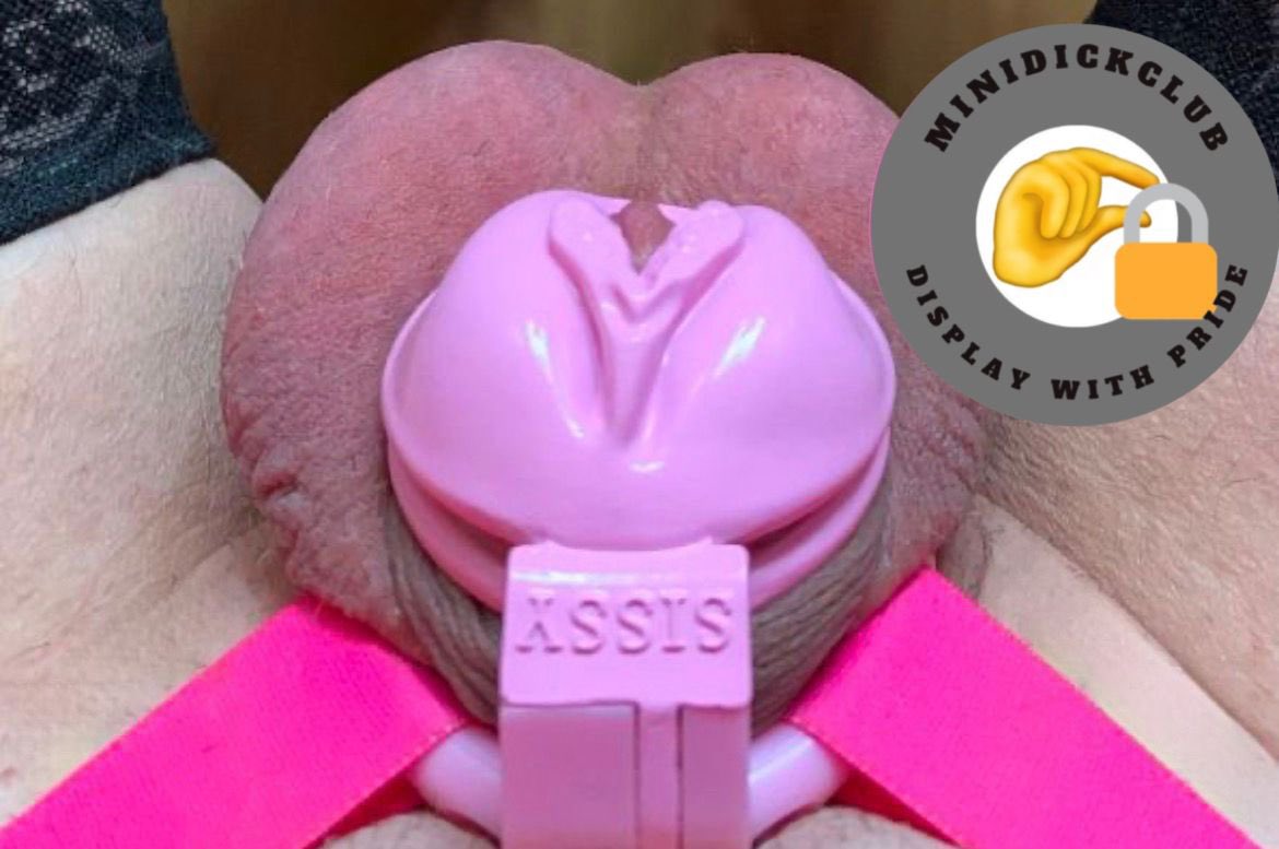 MiniDickClub™️ tweet media