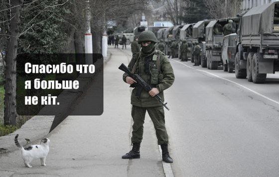 Кот деда Митяя tweet media