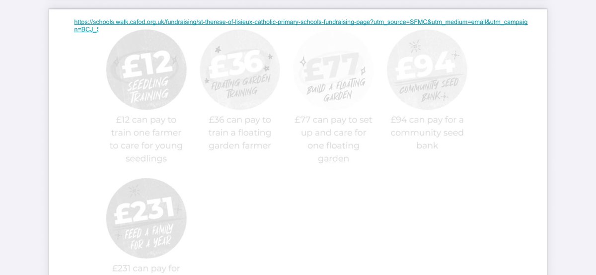 St. Thérèse of Lisieux Catholic Primary School tweet media