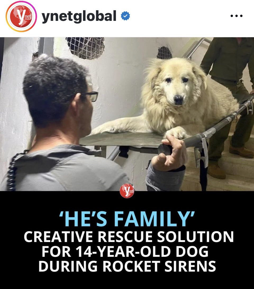 mindsoulnbody's tweet image. Even under rocket sirens, he refuses to leave his elderly dog behind.
Every alert, he carries him to safety.

This is love. This is loyalty. ❤️🐾
#onlyinisrael
#wartimeinisrael
#inisrael
