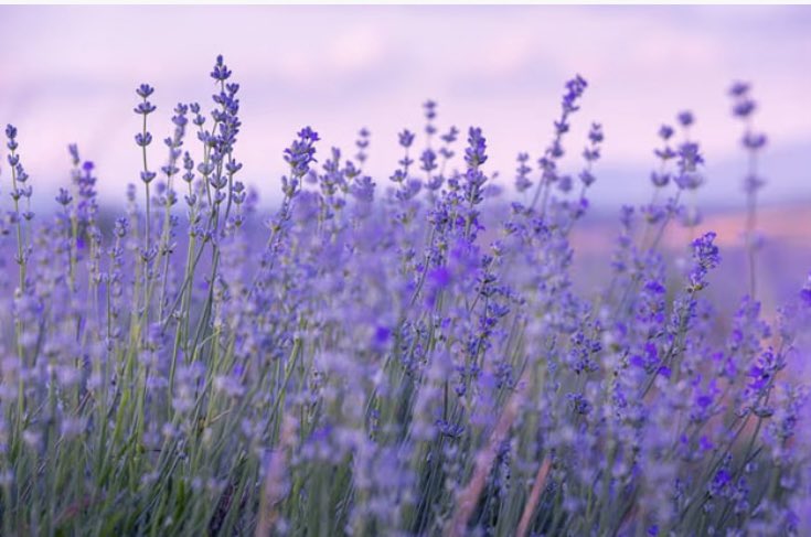 Uzm. Esra Güneş Kaya tweet media