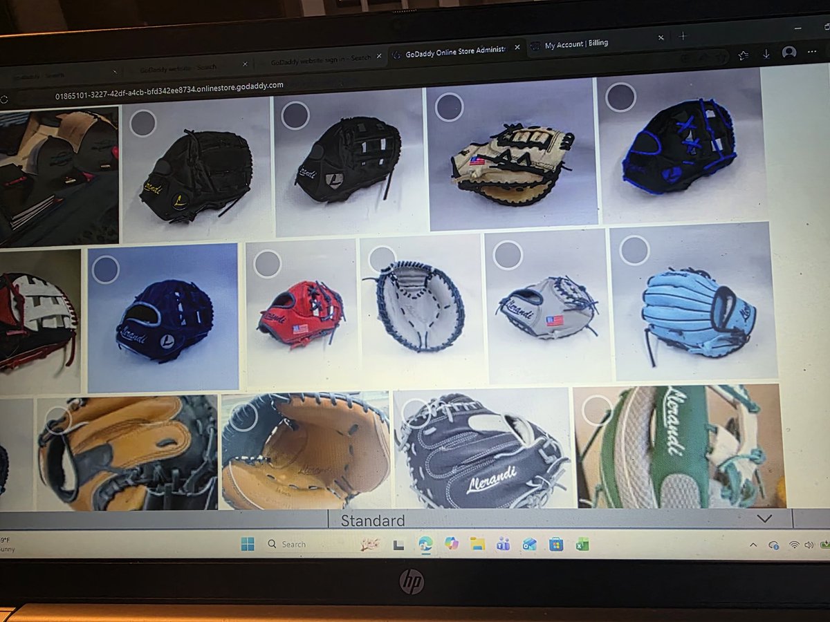 Llerandi Gloves tweet media