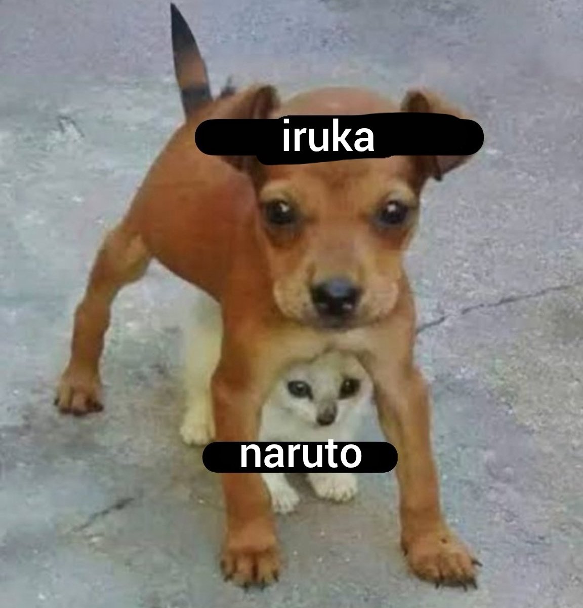 mari⁷ ꩜ 🪭 tweet media