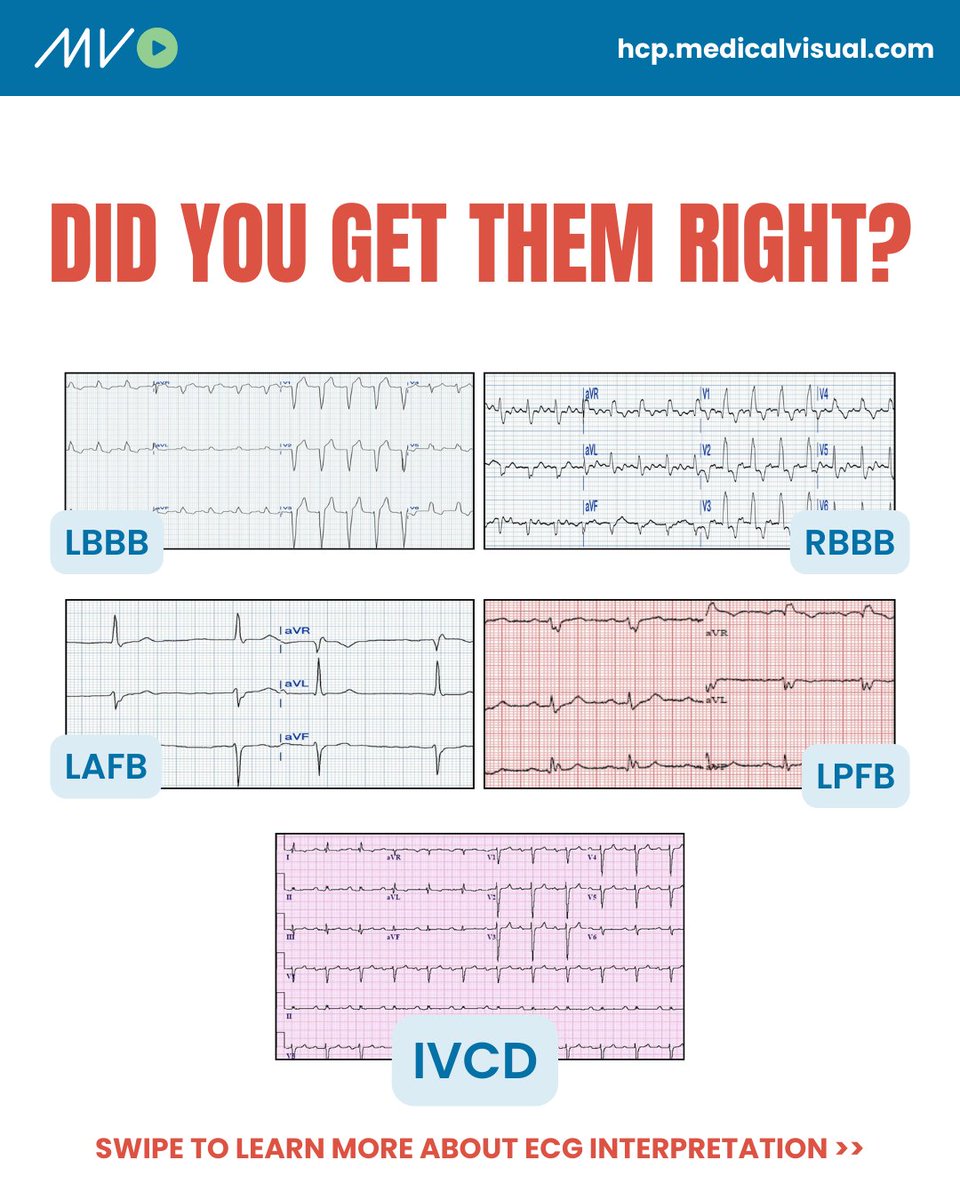 CardioVisual: Powered by MedicalVisual tweet media