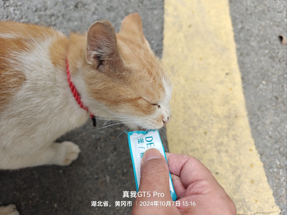 Dewi Shafitri tweet media