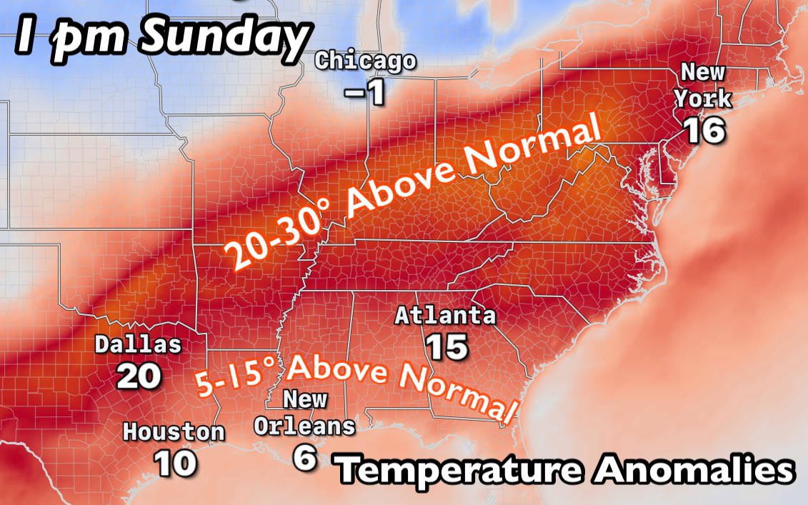 David Paul tweet media