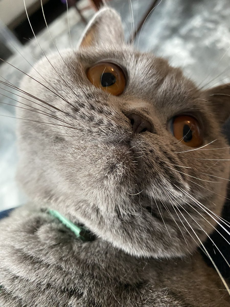 Ms. Savoy Mr. Sanderson🌈@LordGraydon tweet media