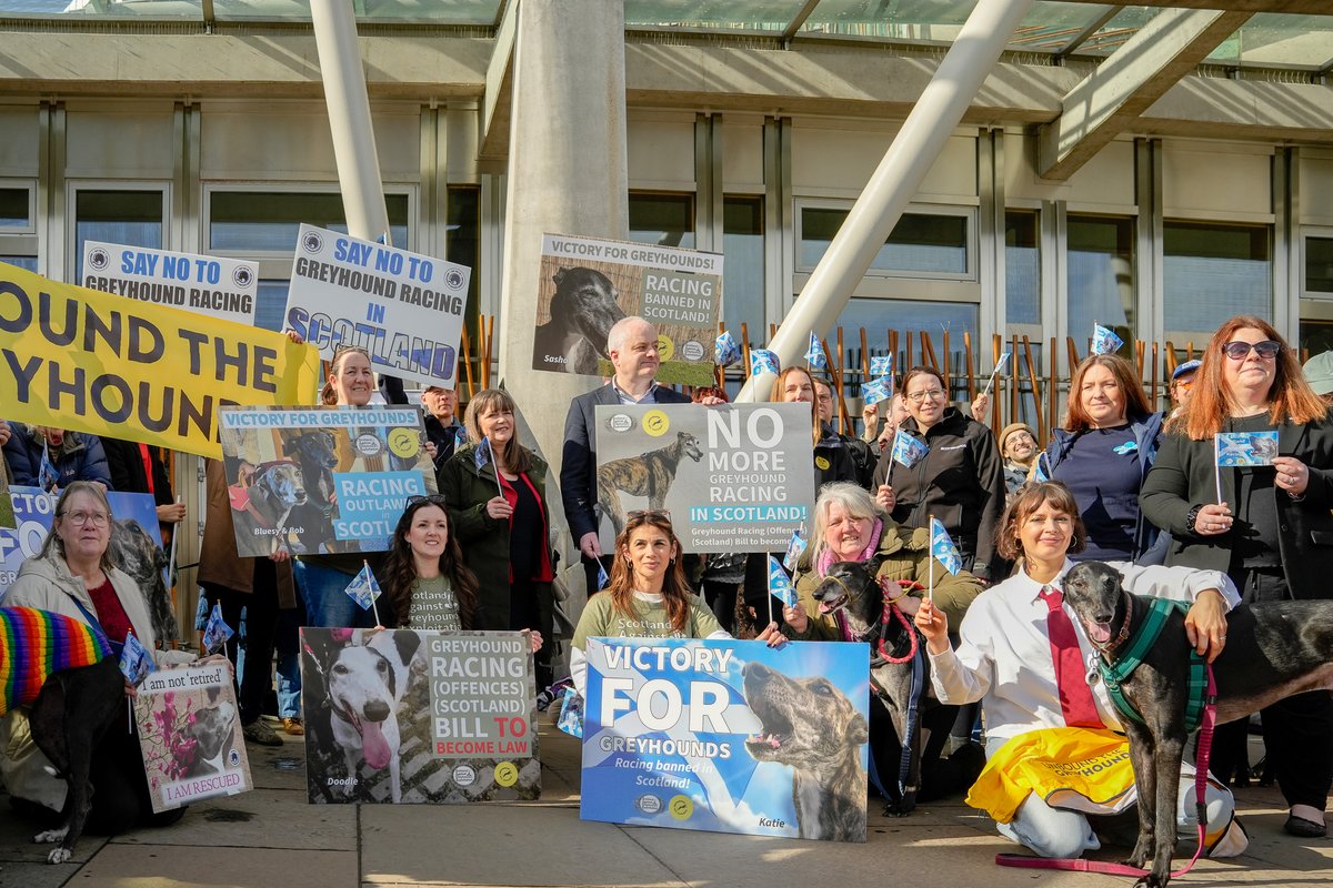 GREY2K USA Worldwide tweet media