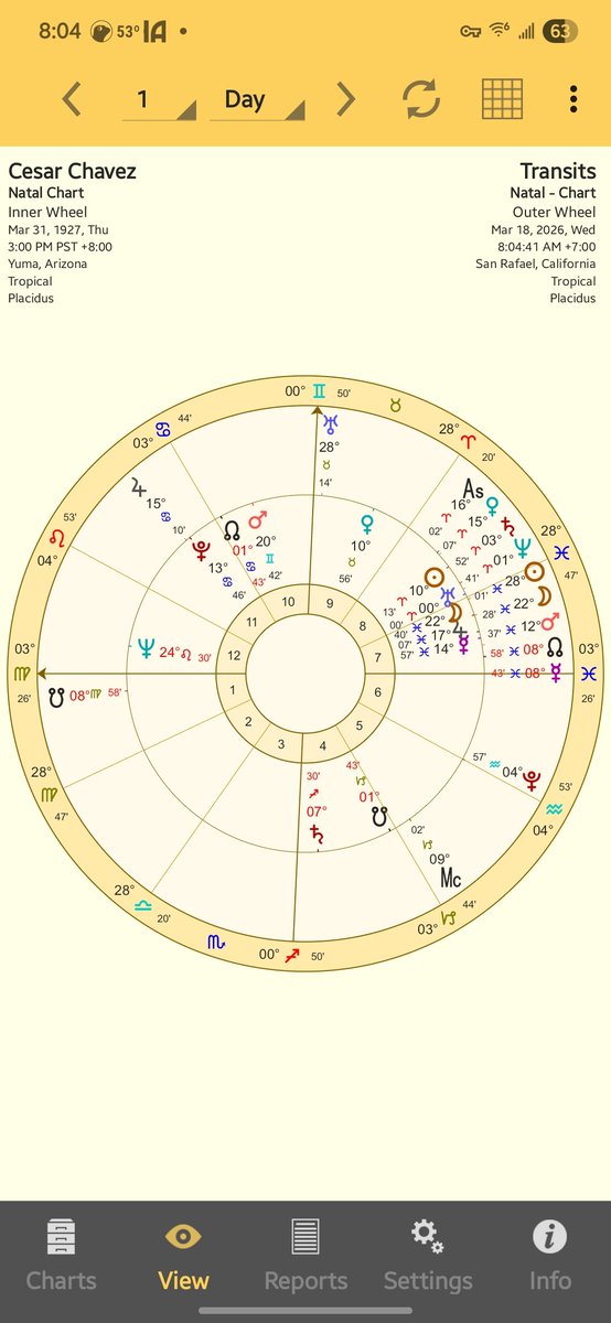 PurpleMoonAstroTarot 🕊 tweet media