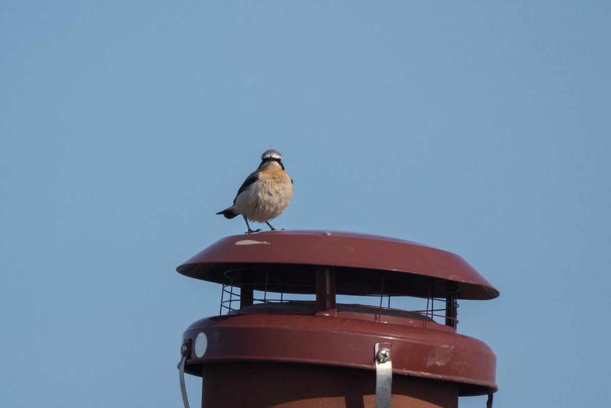 Phil Woollen tweet media