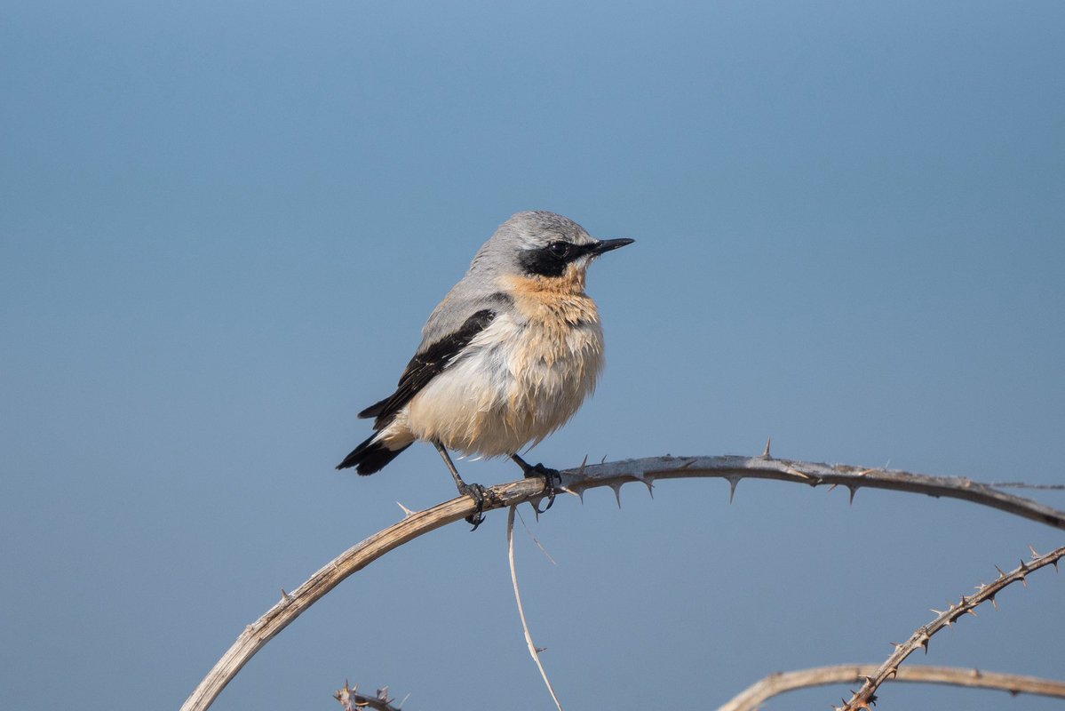 Phil Woollen tweet media