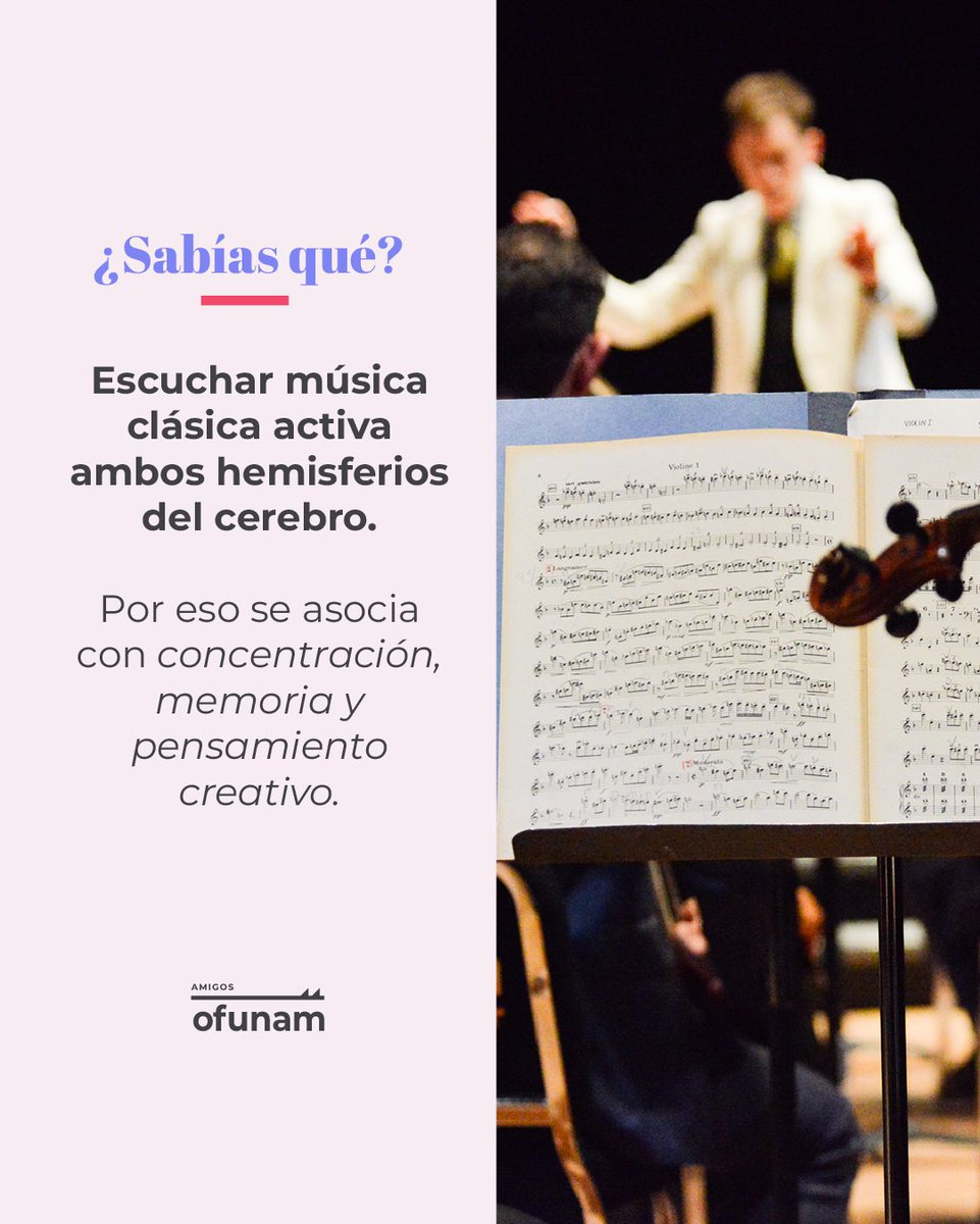 AmigosOFUNAM tweet media