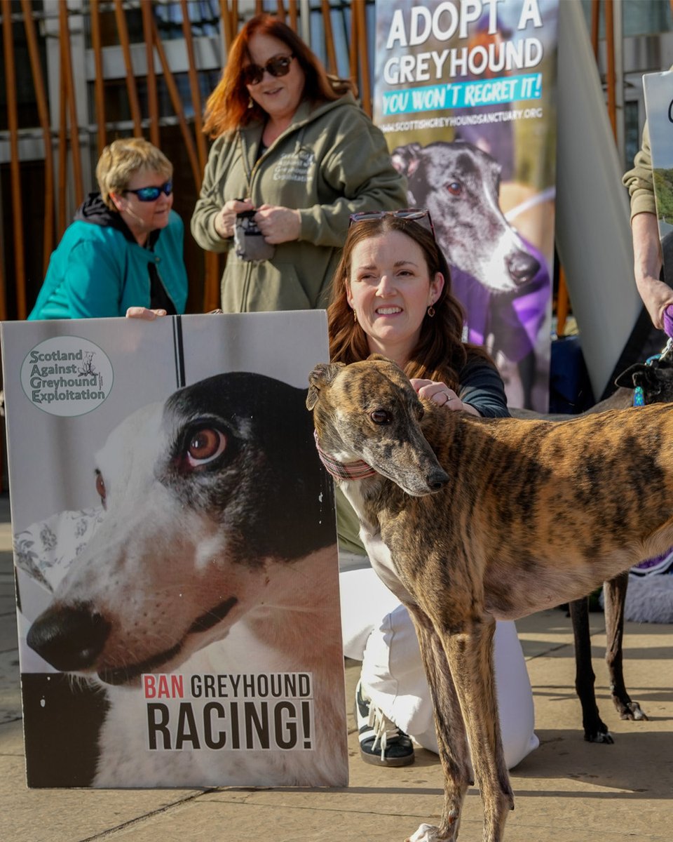 GREY2K USA Worldwide tweet media