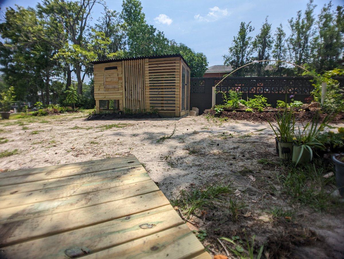 Urban Homestead X tweet media