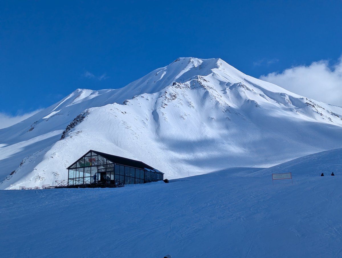 Things I see tweet media