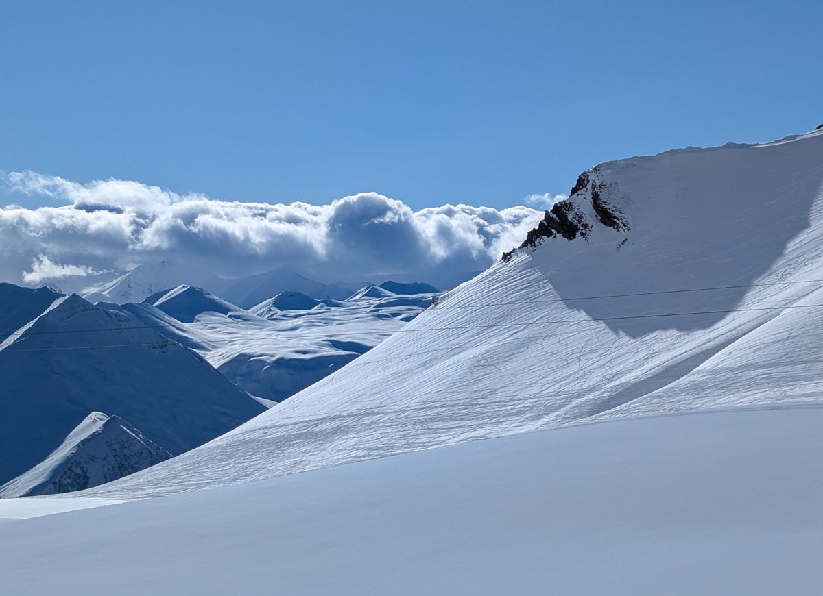 Things I see tweet media