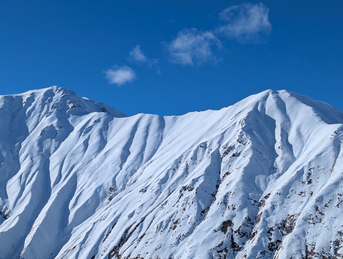 Things I see tweet media