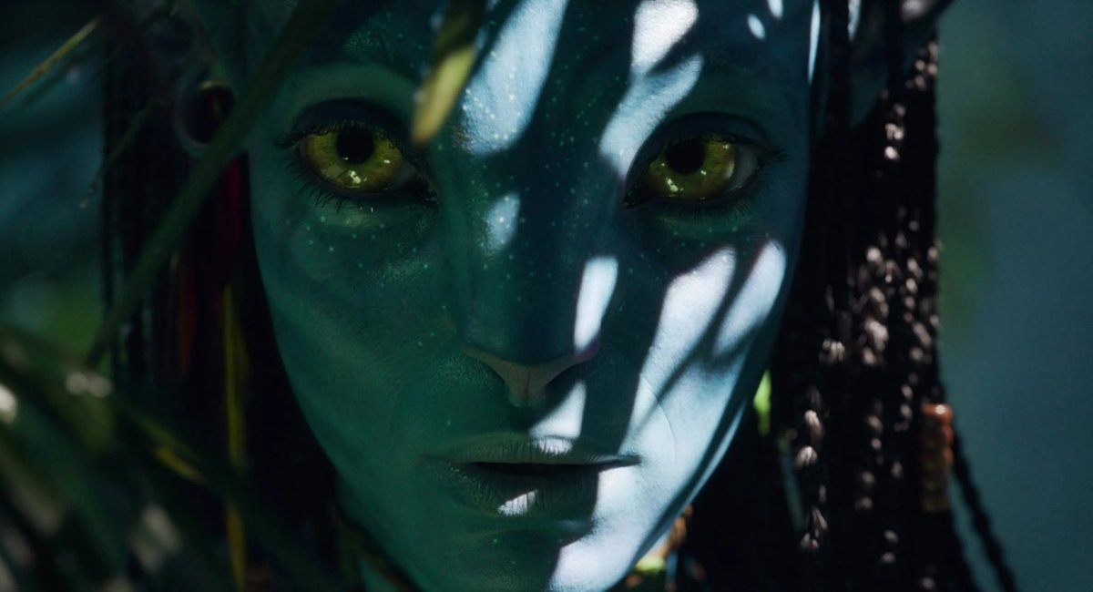 ✧ viktor ✧ tweet media