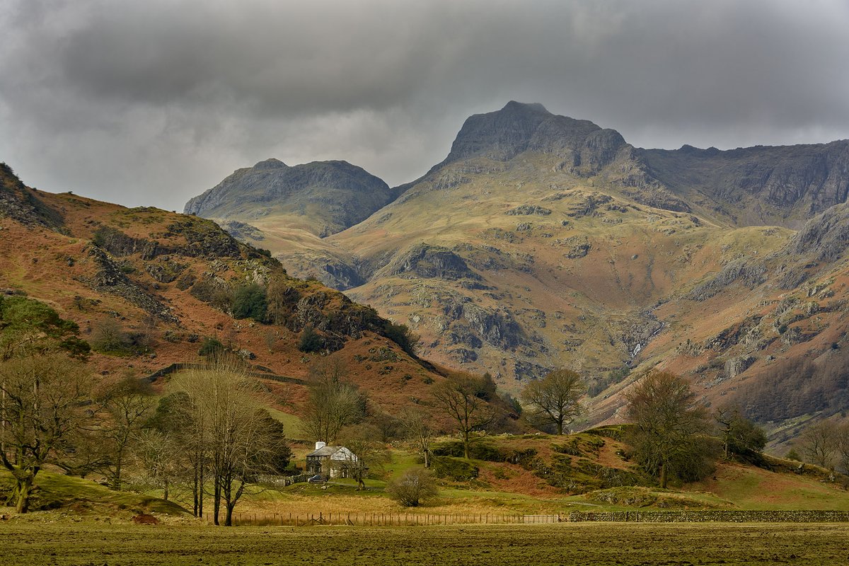 YorkshireLass tweet media