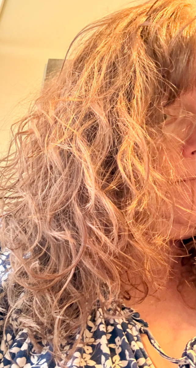 Kimberly Vetrano tweet media