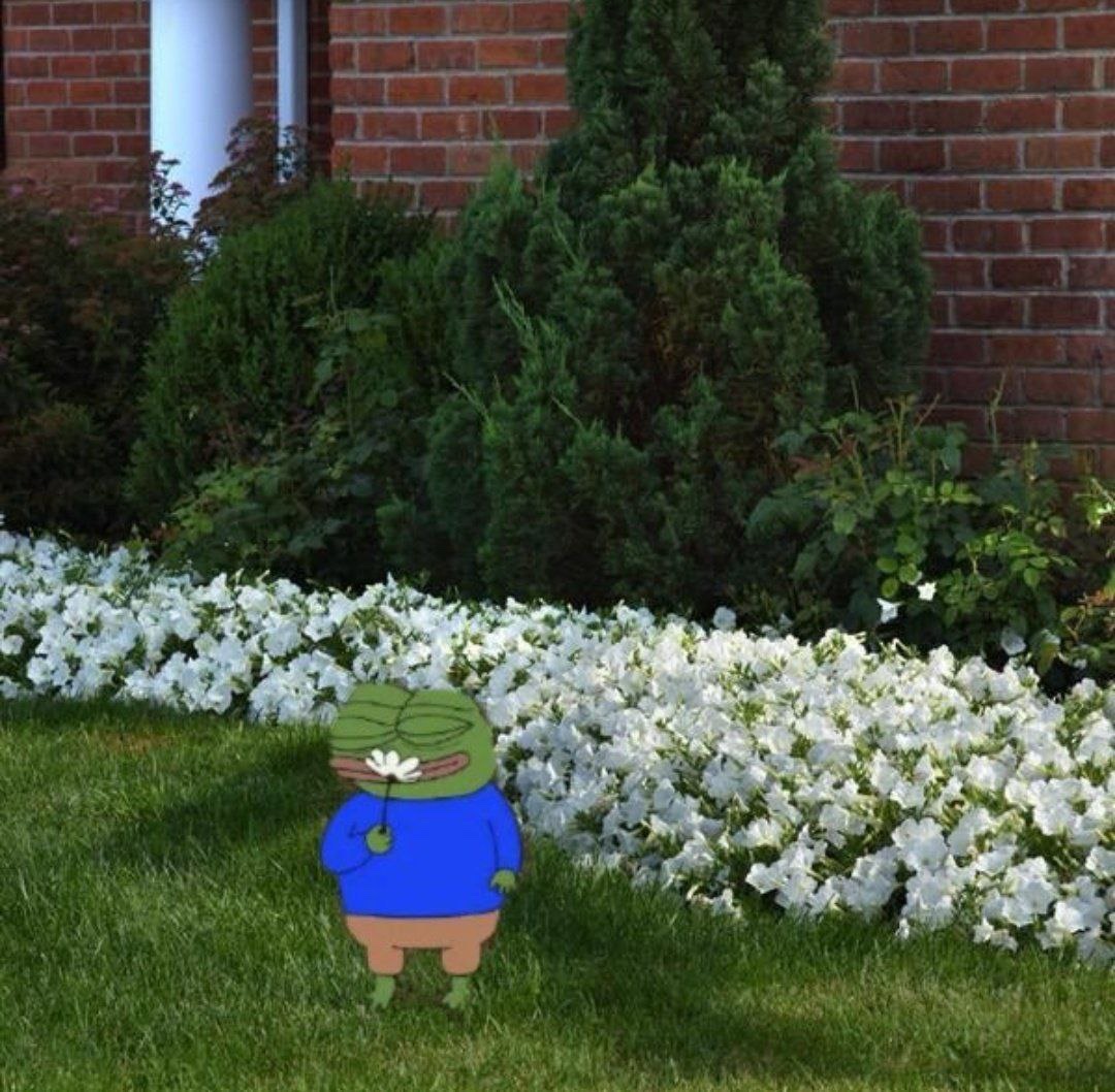 Apu Apustaja tweet media