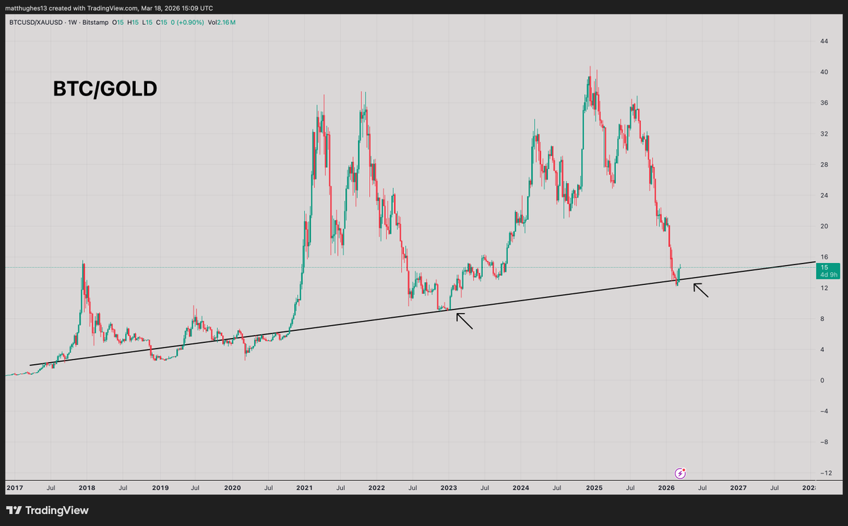 The Great Mattsby tweet media