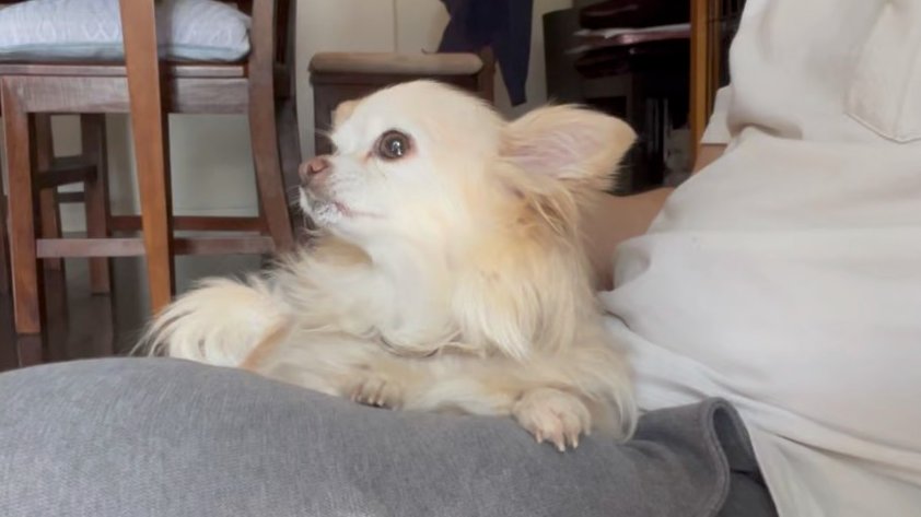 ひでくん＠施工管理🔰ブロガー0→1 tweet media