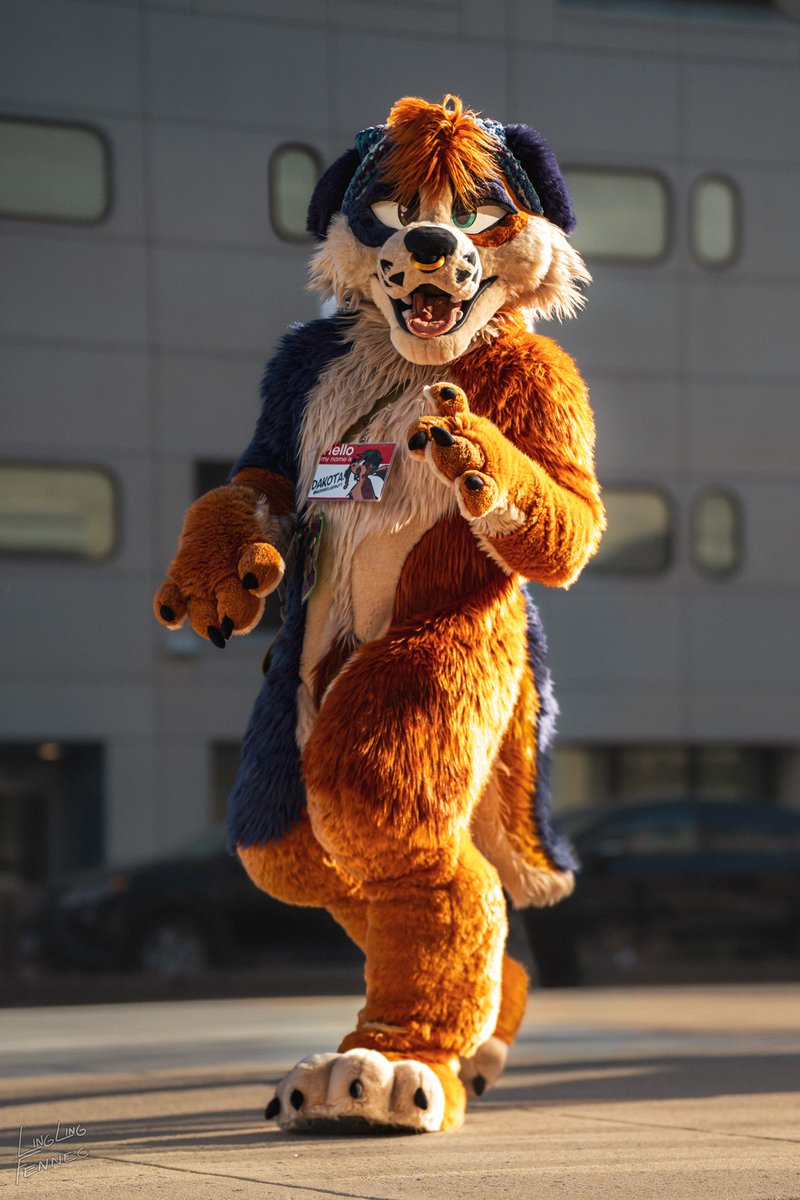 🌿Dog With A Blog🌿🔜FE tweet media