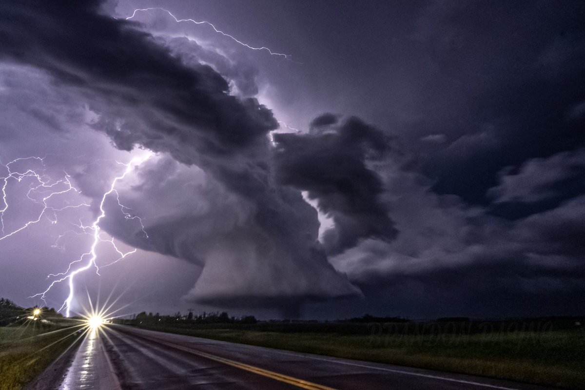 Brandon Payne 🥋 tweet media