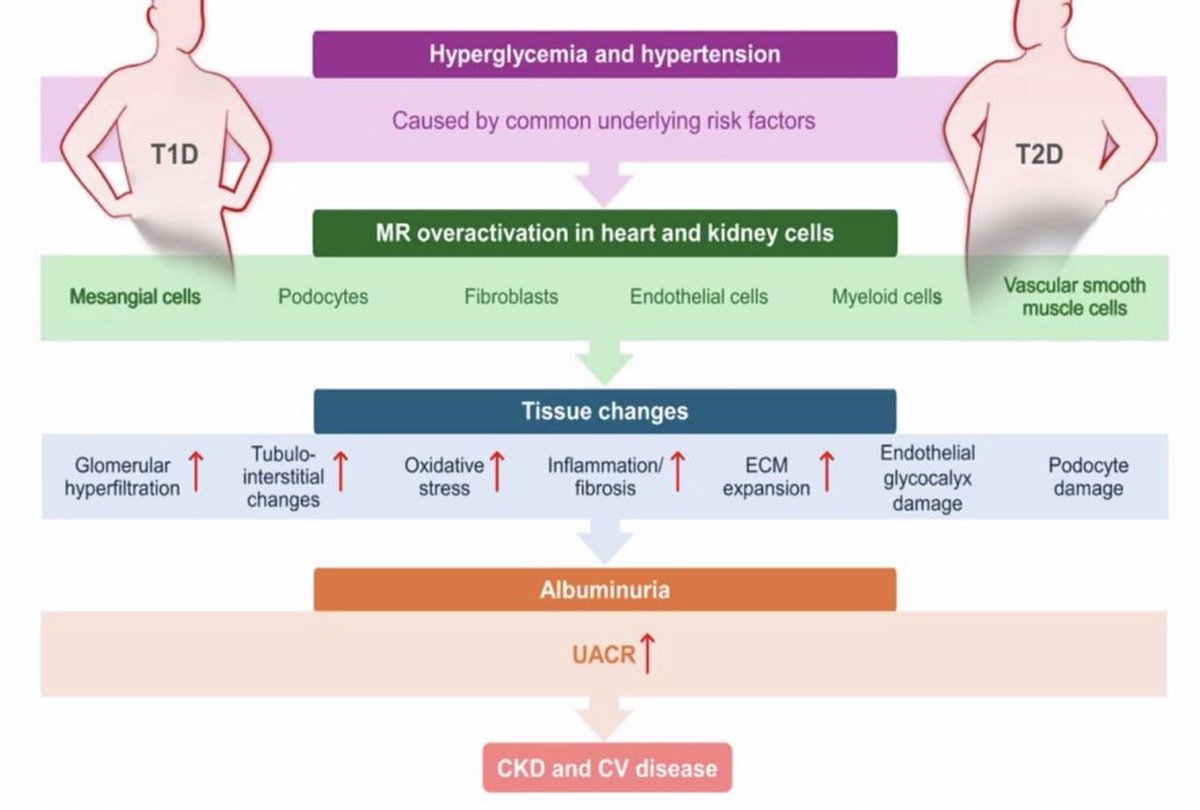 Abdelhamid Hamdy tweet media
