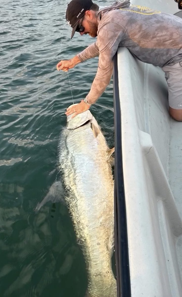 TheMulletRun's tweet photo. This was a wild catch #catchandrelease #fishing #runthatdog https://t.co/ppp2j8T7Uh