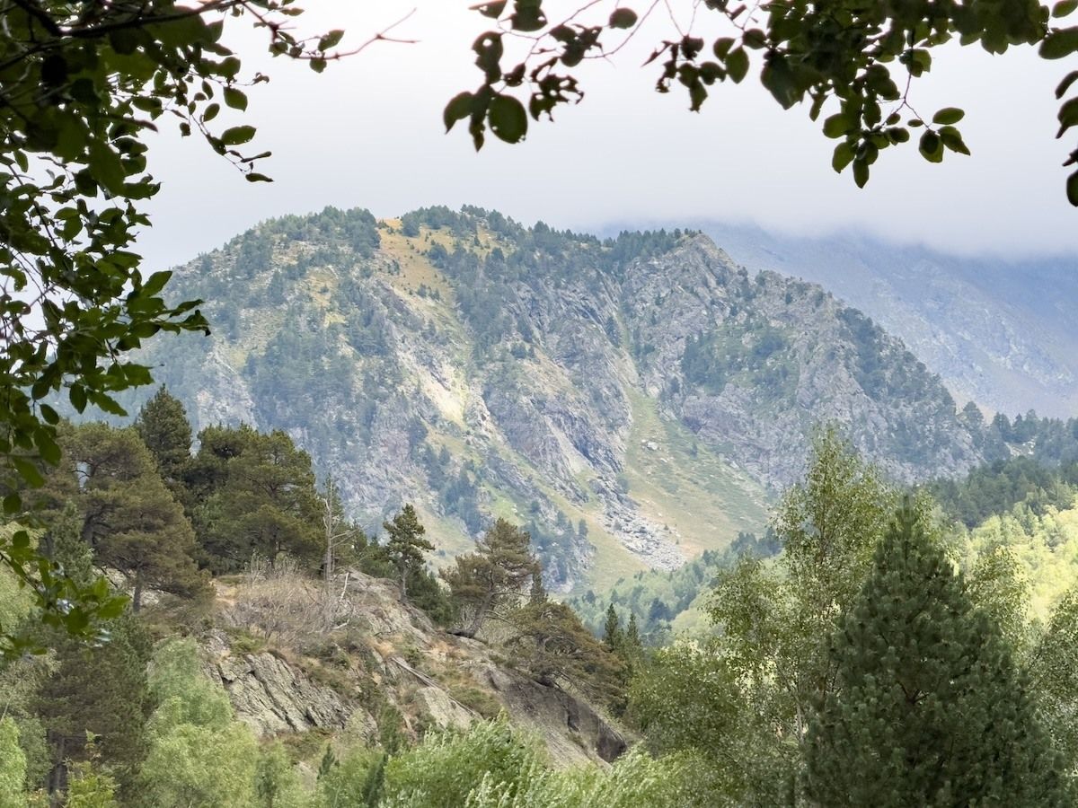 Globe Guide tweet media