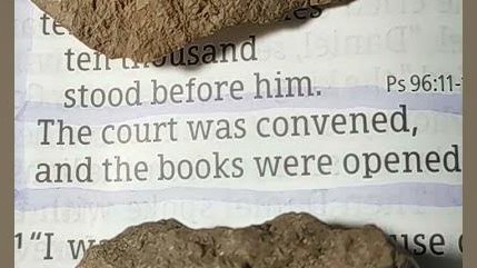 Emily ⚔️🛡️🙏🏽 Wait. What? tweet media