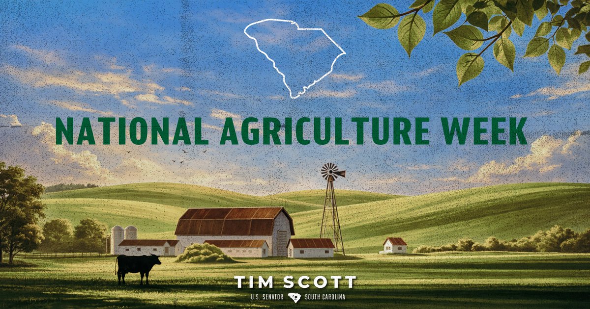 Senator Tim Scott tweet media