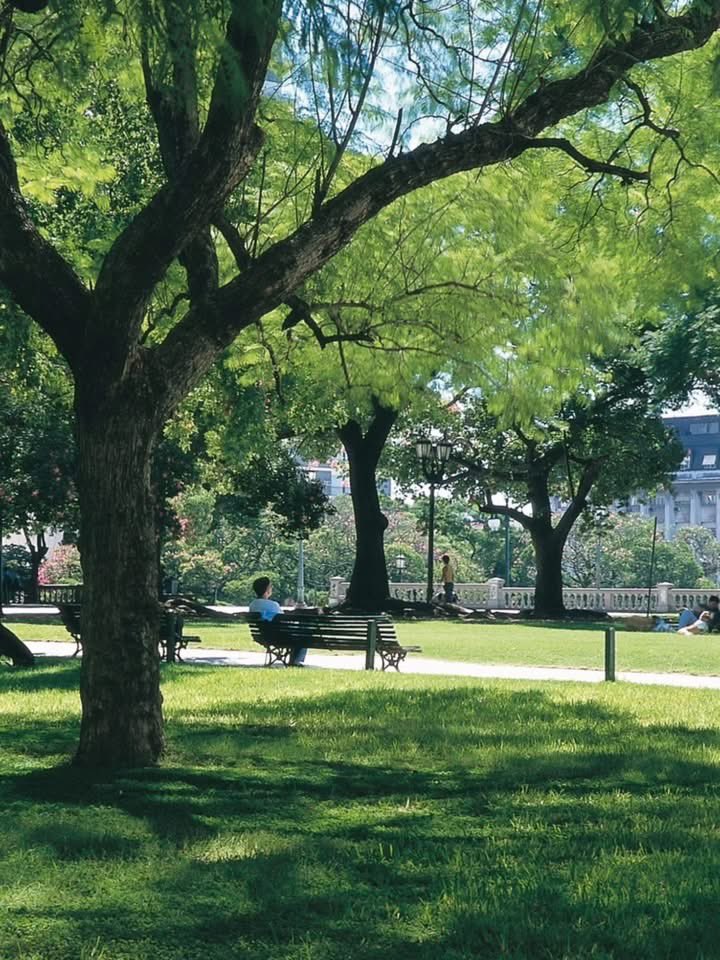 BowTiedMara tweet media