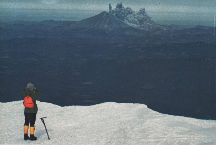 Laocoon of Troy tweet media