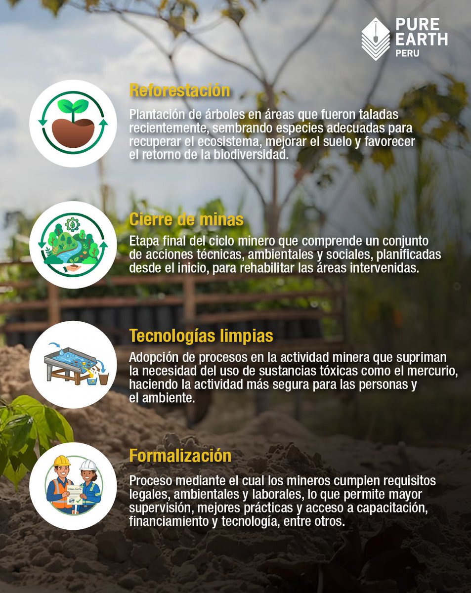 PureEarthPeru's tweet image. ⛏️🌿 Hablar de minería responsable es hablar de compromiso a largo plazo. Conoce algunos de los conceptos clave que forman parte de una #minería más responsable y libre de mercurio. 💚
#PureEarthPerú #PerúLibreDeMercurio #MineríaResponsable #Reforestación #OroLimpio #CierreDeMina