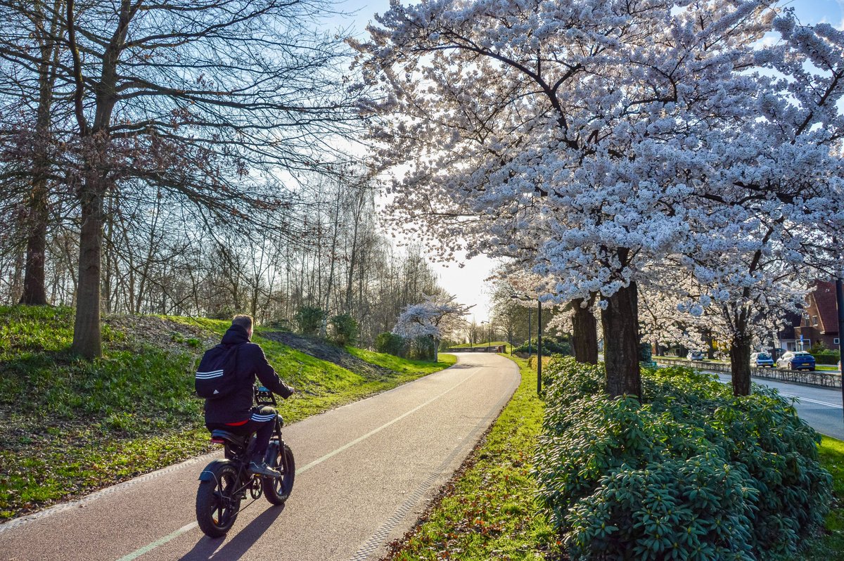 Melissa & Chris Bruntlett tweet media