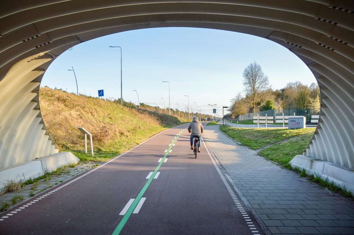 Melissa & Chris Bruntlett tweet media