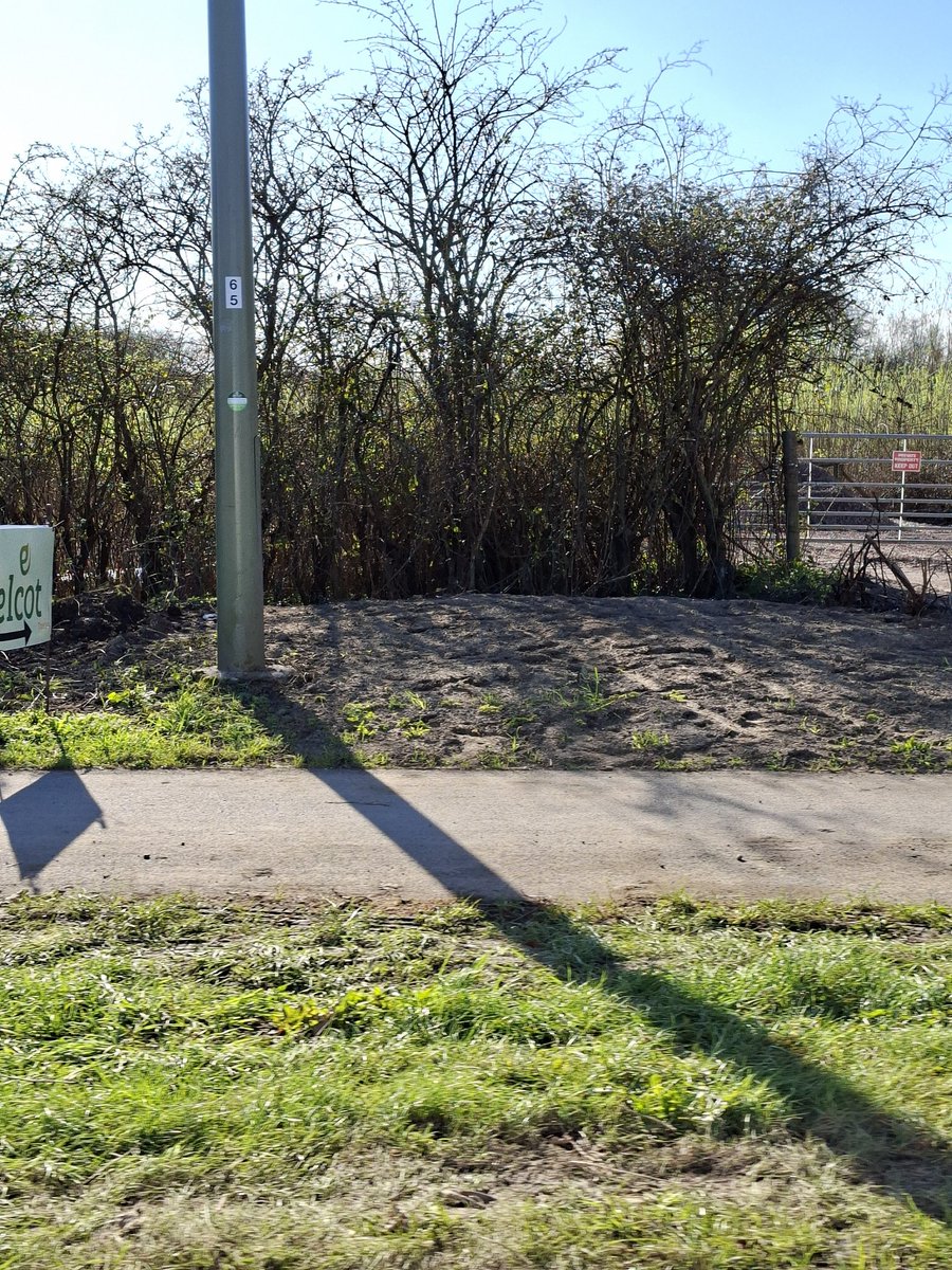 HasTheStadiumBeenBuiltYet tweet media