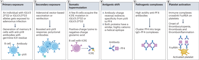 Nature Reviews Cardiology tweet media