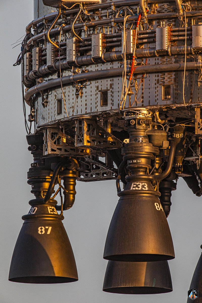 Starbase Surfer tweet media