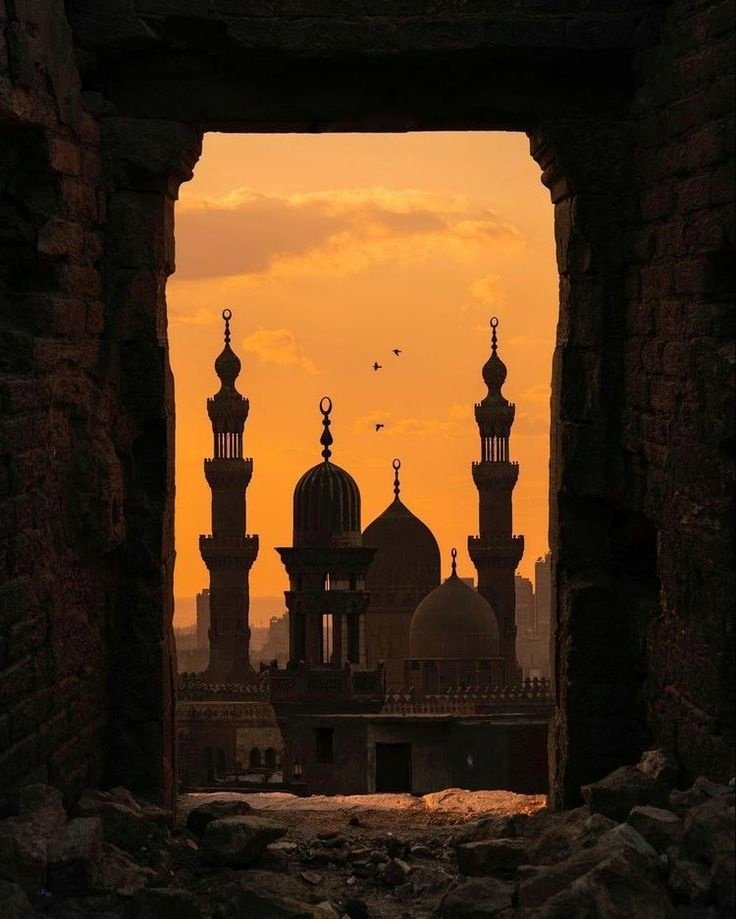 بتاع اعلانات tweet media