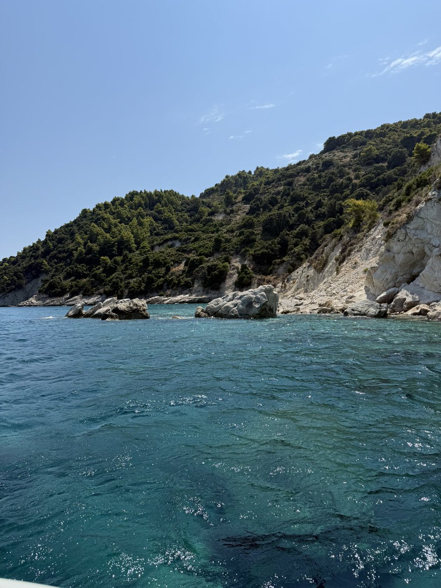 Alexander 𖤓 Nietzschean Vitalist tweet media