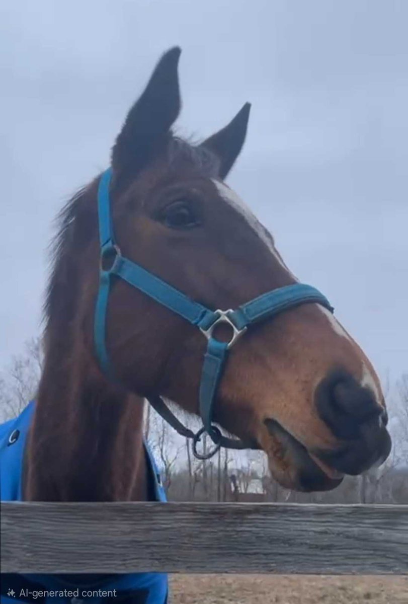 MichelePesulaKuegler tweet media