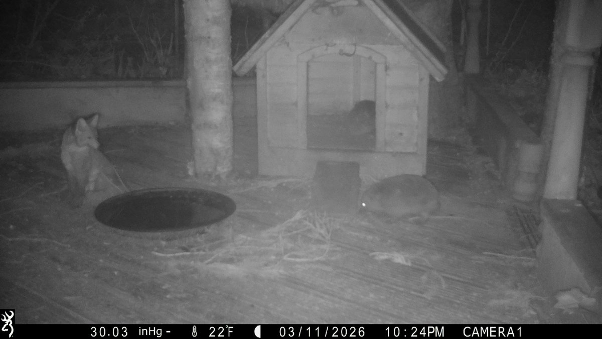 David Turner tweet media