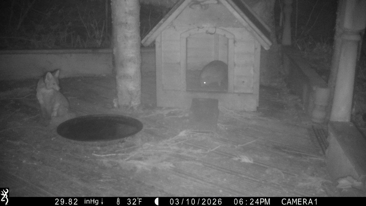 David Turner tweet media